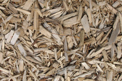 biomass boilers Rawridge